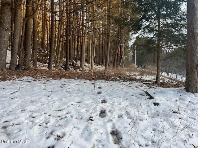 a view of a backyard with large trees