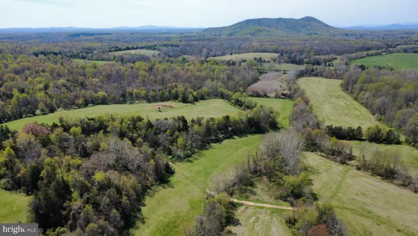 an aerial view of green landscape with trees houses and mountain view