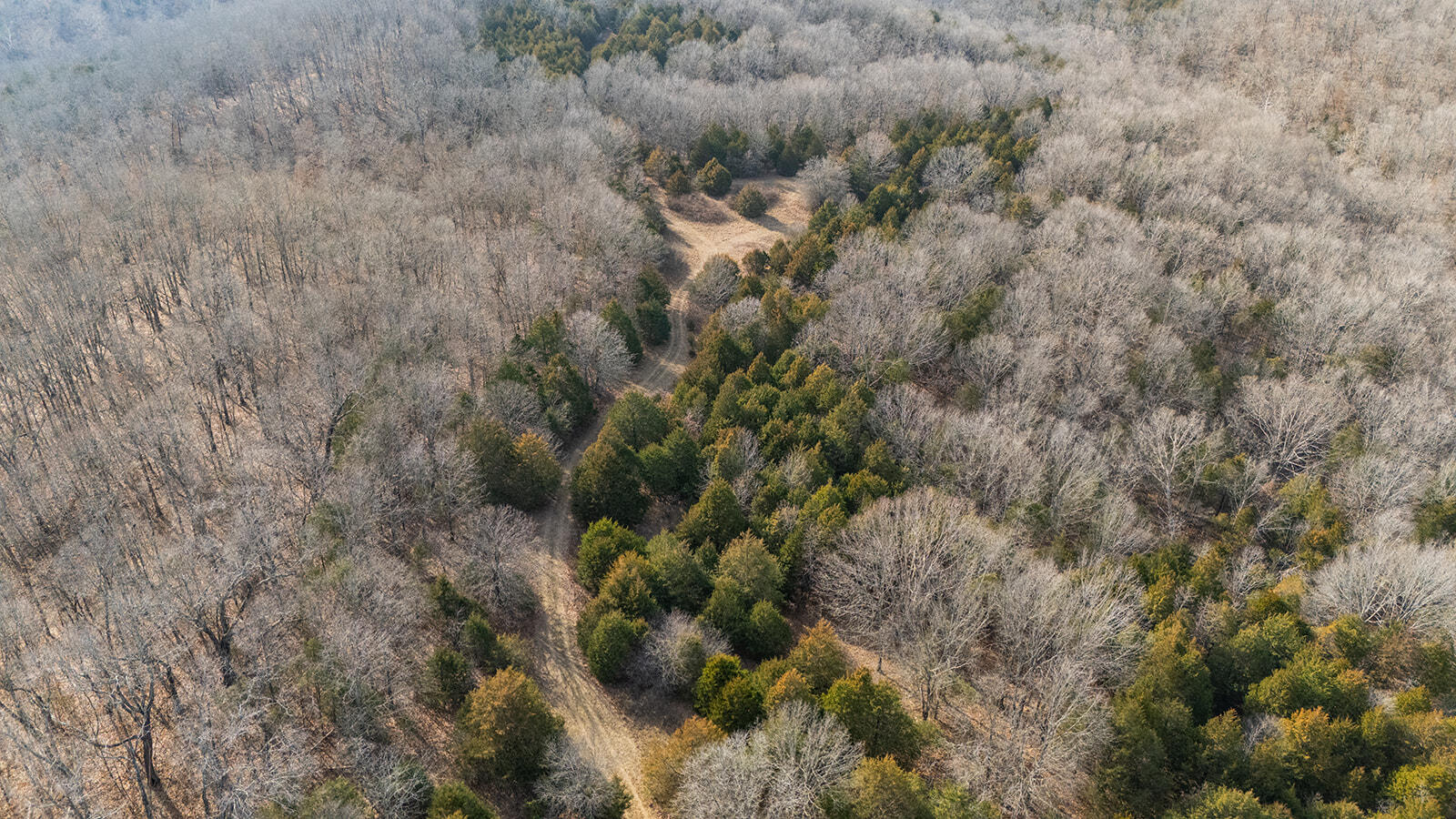 0 Abadyl Road Fordland, MO 65652 - Photo 22 of 25 DJI_20260303153344_0036_D