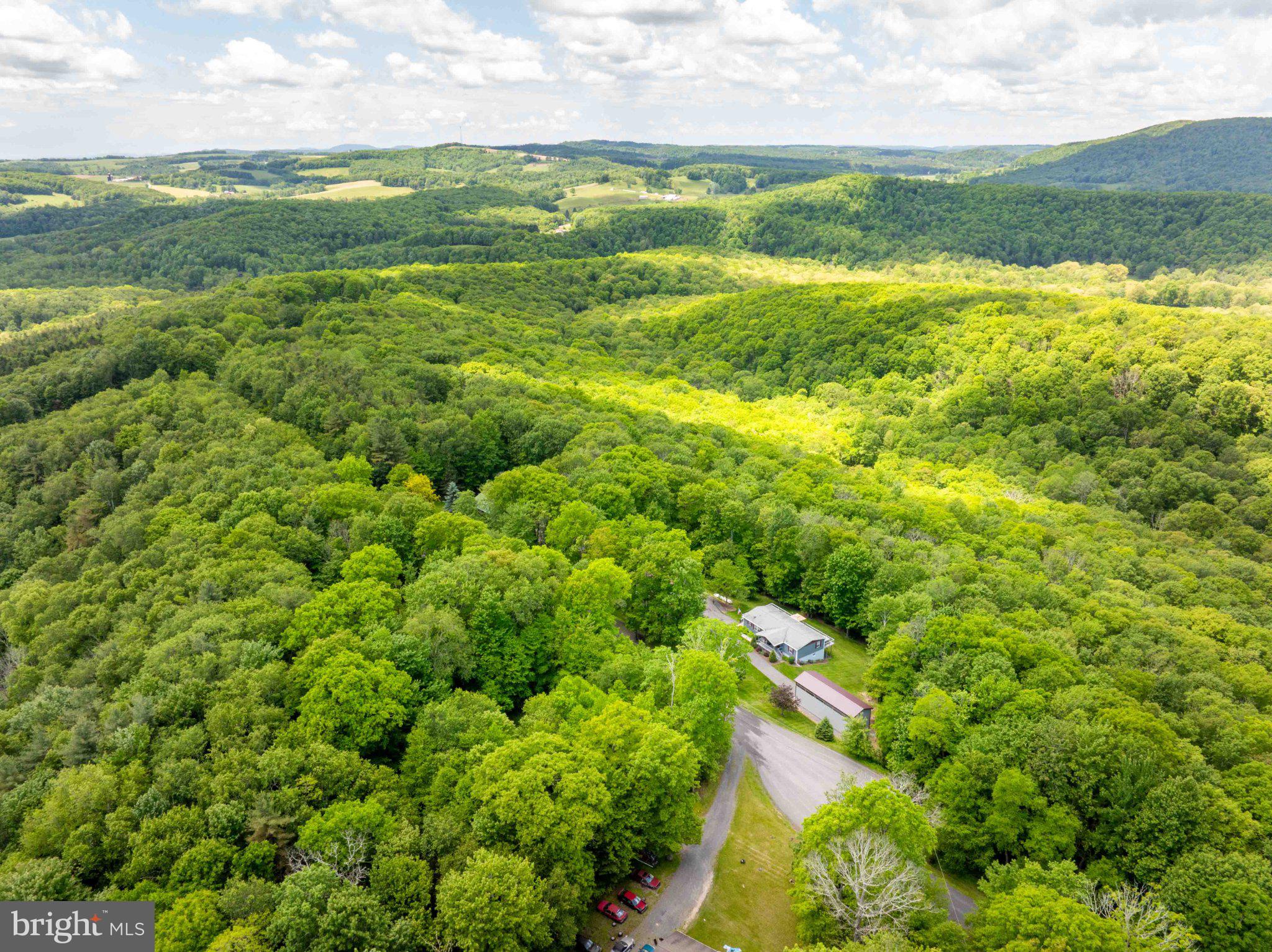 511 Hill Top Road Oakland, MD 21550 - Photo 45 of 51 Serene retreat amidst lush greenery.