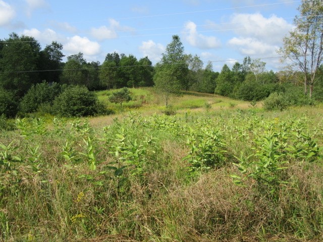 17602 Hibma Road Tustin, MI 49688 - Photo 83 of 94 1837120-82.JPG