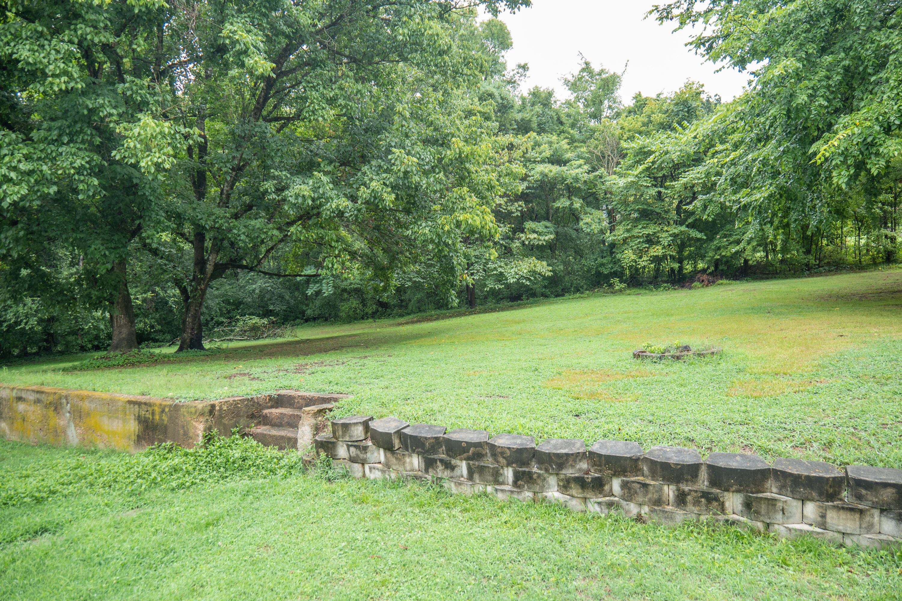 51 Grove Street Ringgold, GA 30736 - Photo 4 of 28 51 Grove Street-24