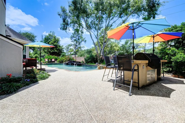 a view of a garden with plants and large trees