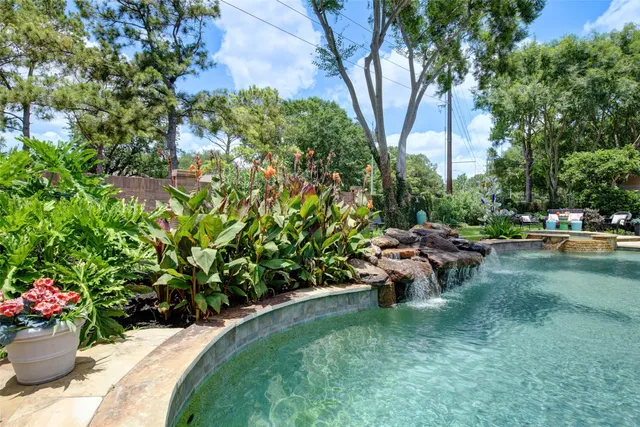 a view of a garden with plants