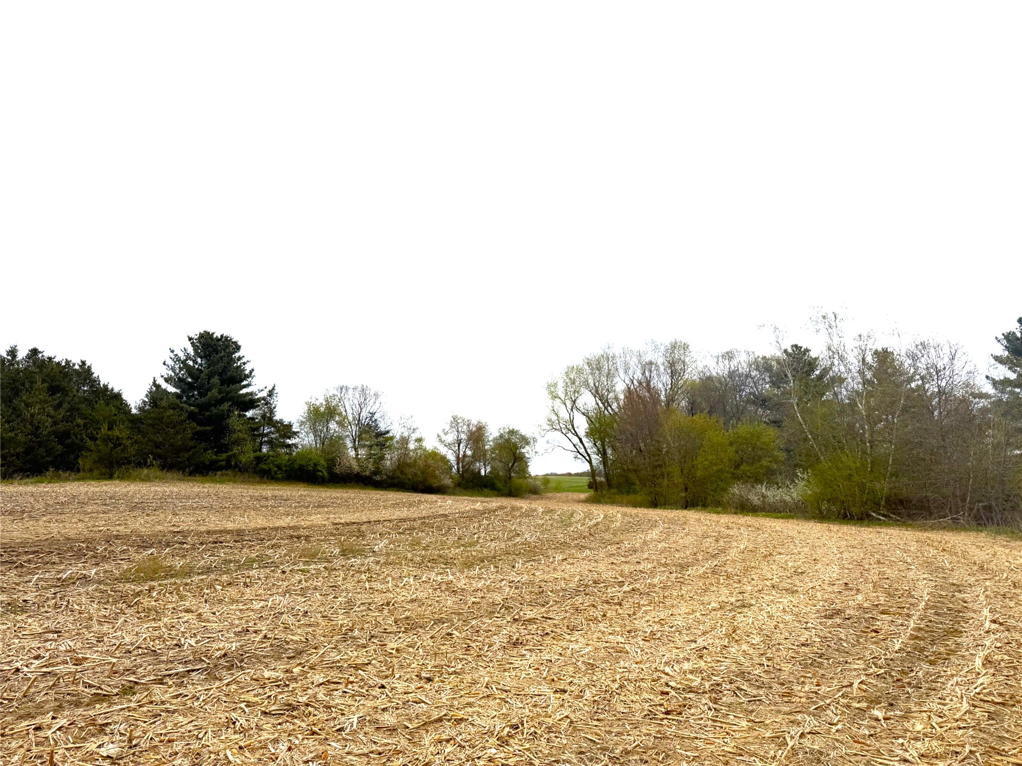 74-acres Sand Prairie Road North Hixton, WI 54635 - Photo 1 of 17