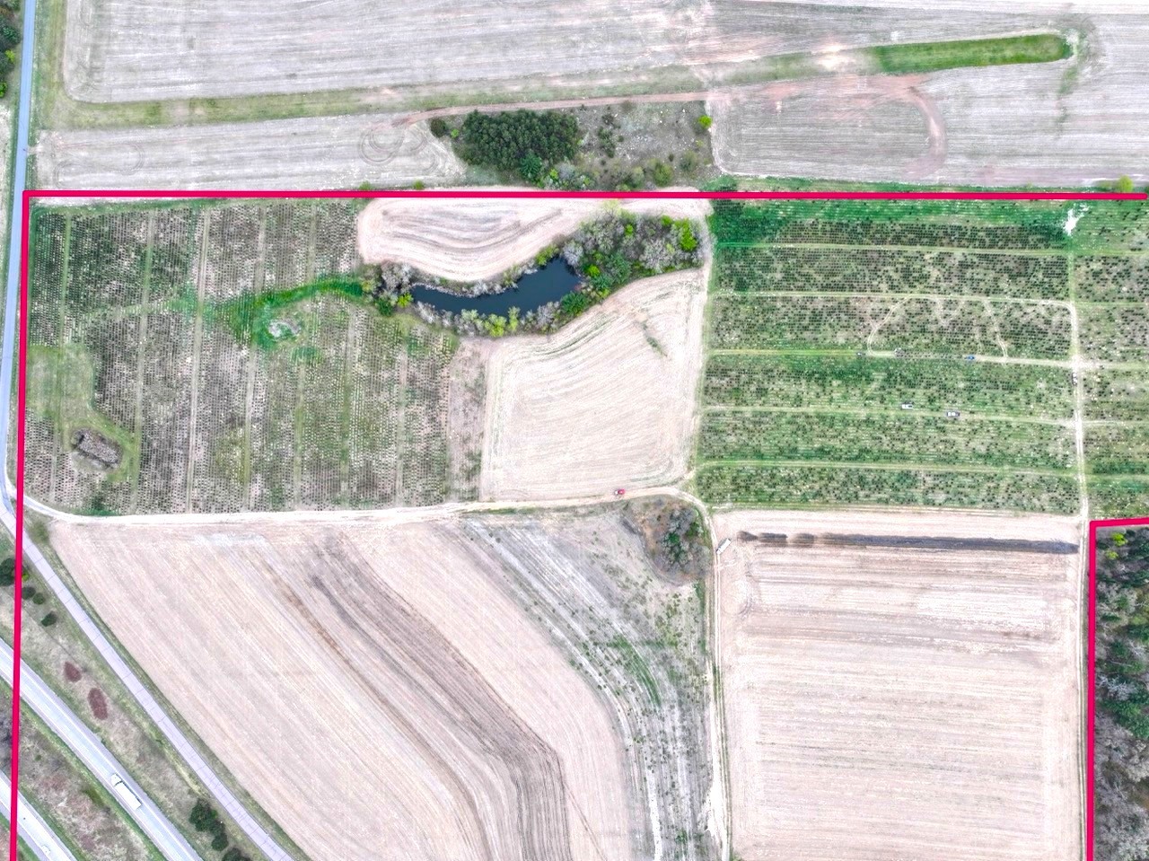 74-acres Sand Prairie Road North Hixton, WI 54635 - Photo 12 of 17