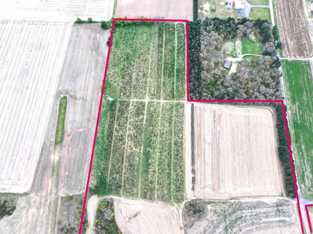 74-acres Sand Prairie Road North Hixton, WI 54635 - Photo 13 of 17