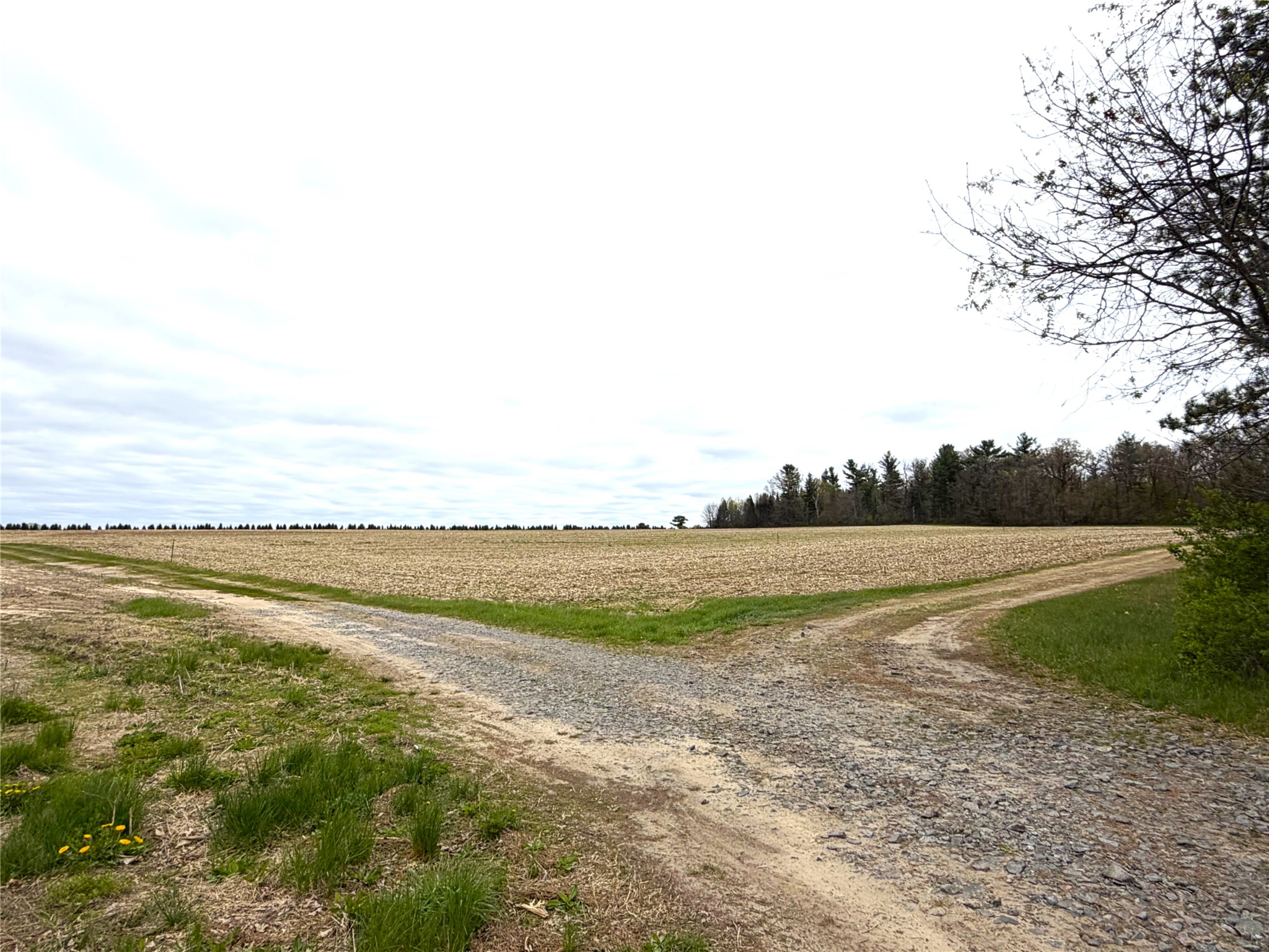 74-acres Sand Prairie Road North Hixton, WI 54635 - Photo 2 of 17