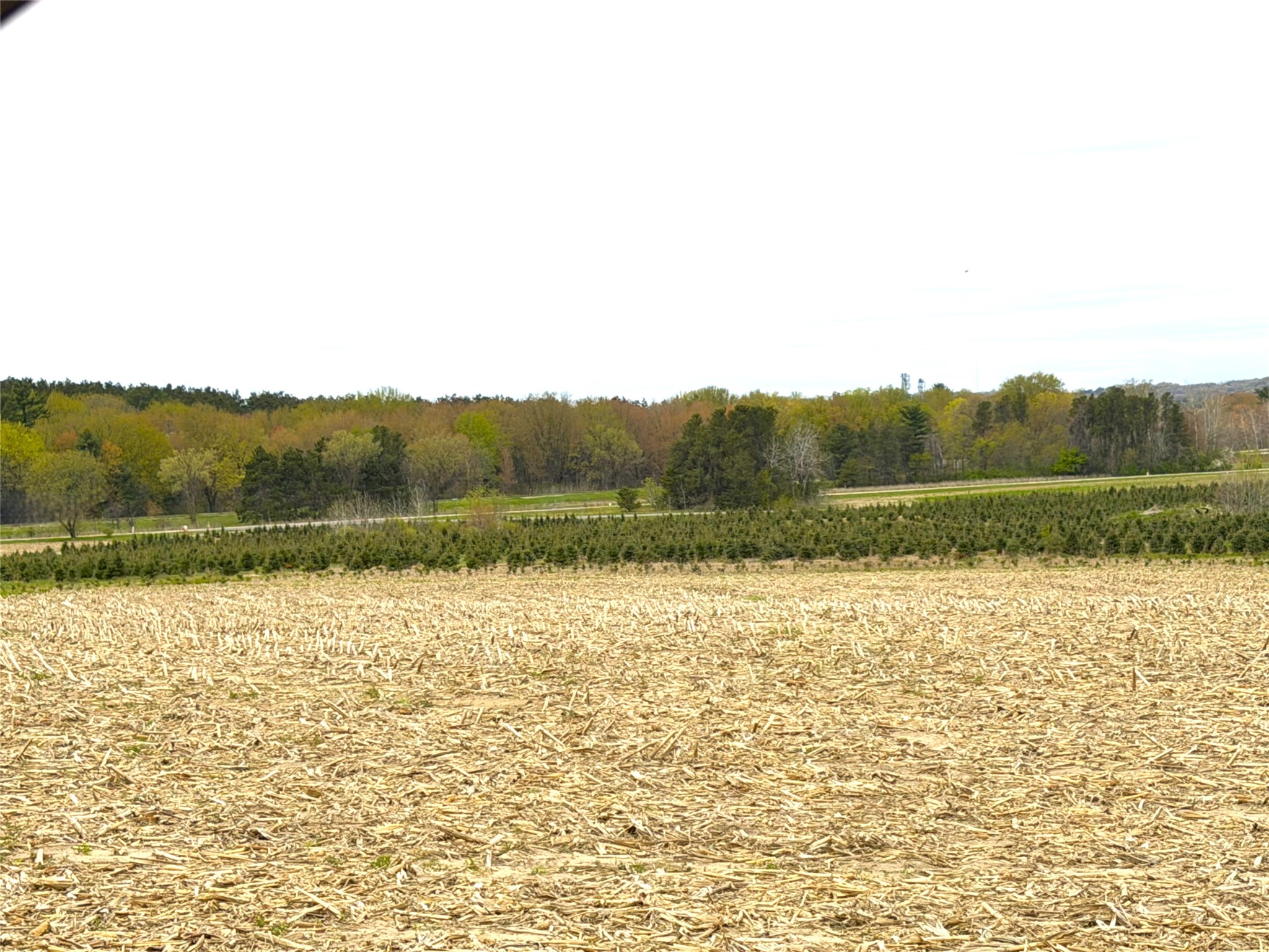 74-acres Sand Prairie Road North Hixton, WI 54635 - Photo 6 of 17