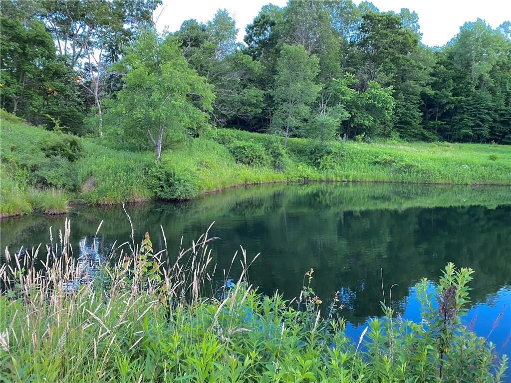 610 Dick Road Renfrew, PA 16001 - Photo 23 of 25 a view of a lake with a yard