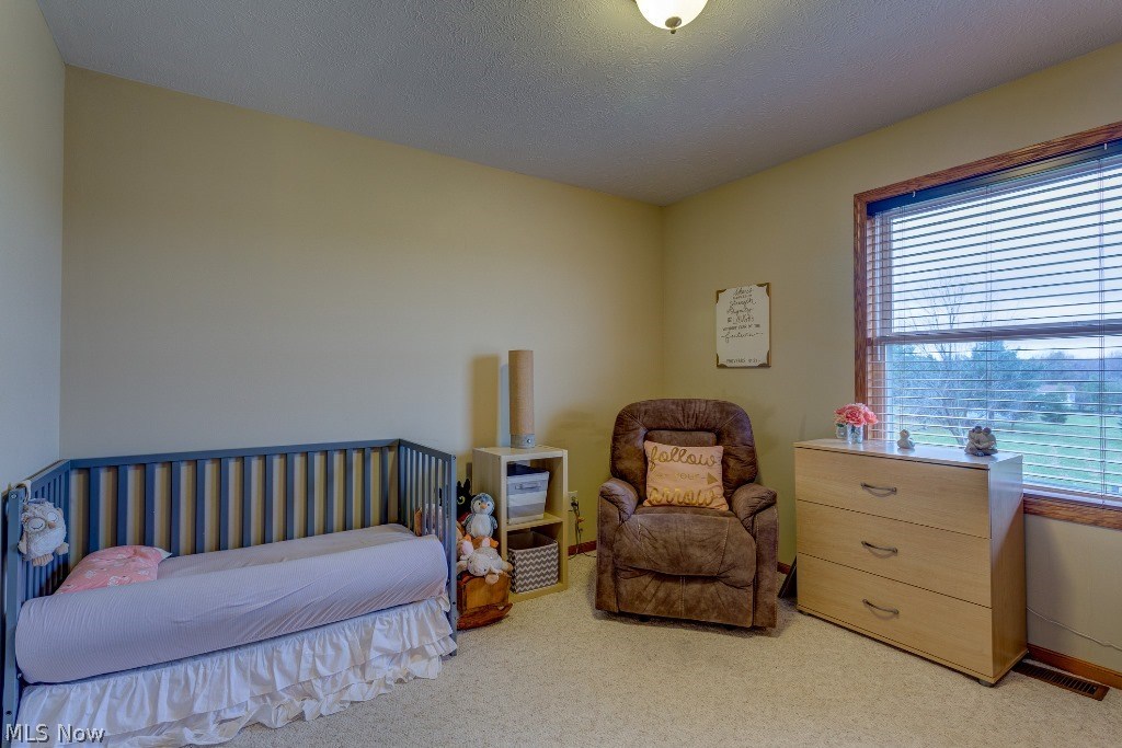 9866 Bainbridge Road Chagrin Falls, OH 44023 - Photo 20 of 32 Gallery Image 20