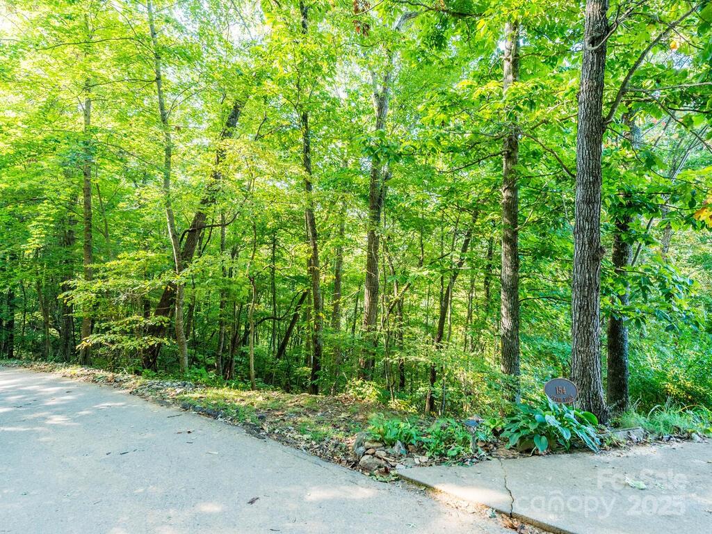0 Alpine Ridge, Unit D11 Canton, NC 28716 - Photo 6 of 11