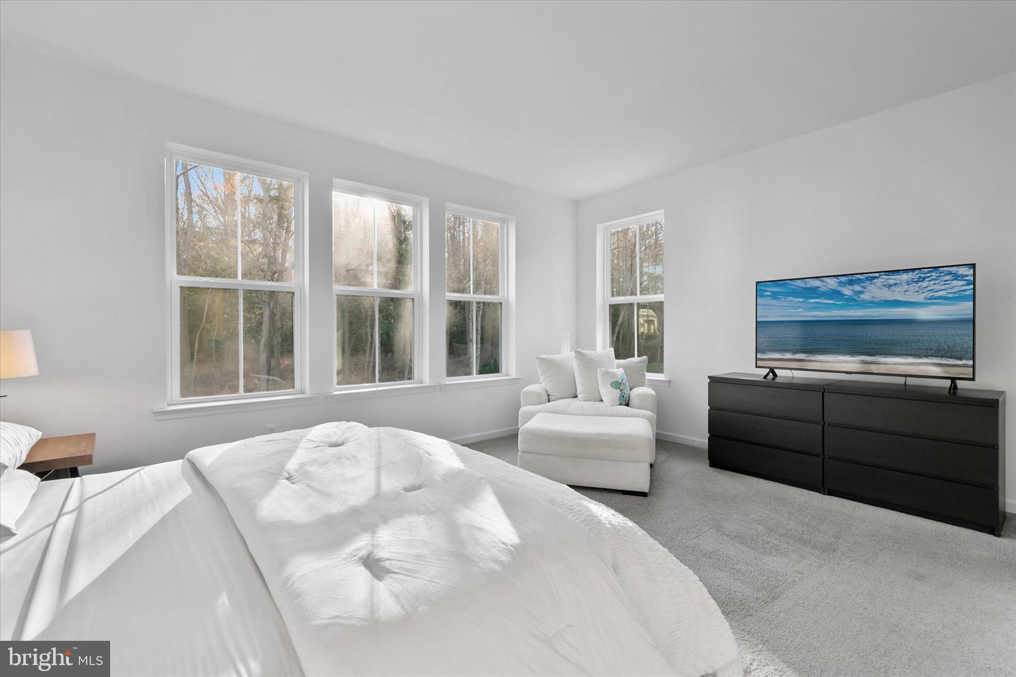 36114 Watch Hill Road Frankford, DE 19945 - Photo 19 of 80 a bedroom with a bed and a couch