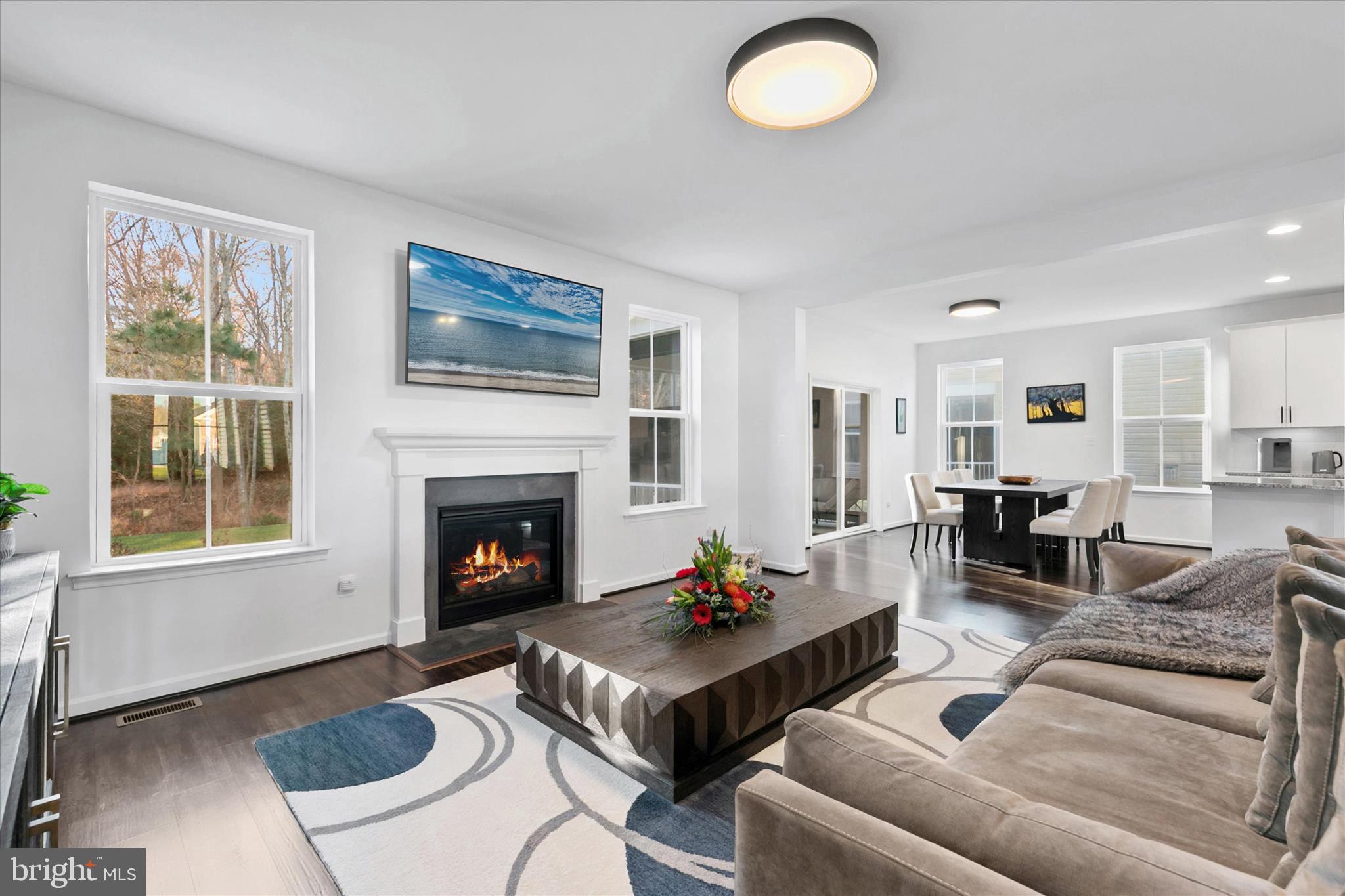 36114 Watch Hill Road Frankford, DE 19945 - Photo 8 of 80 a living room with furniture fireplace and window