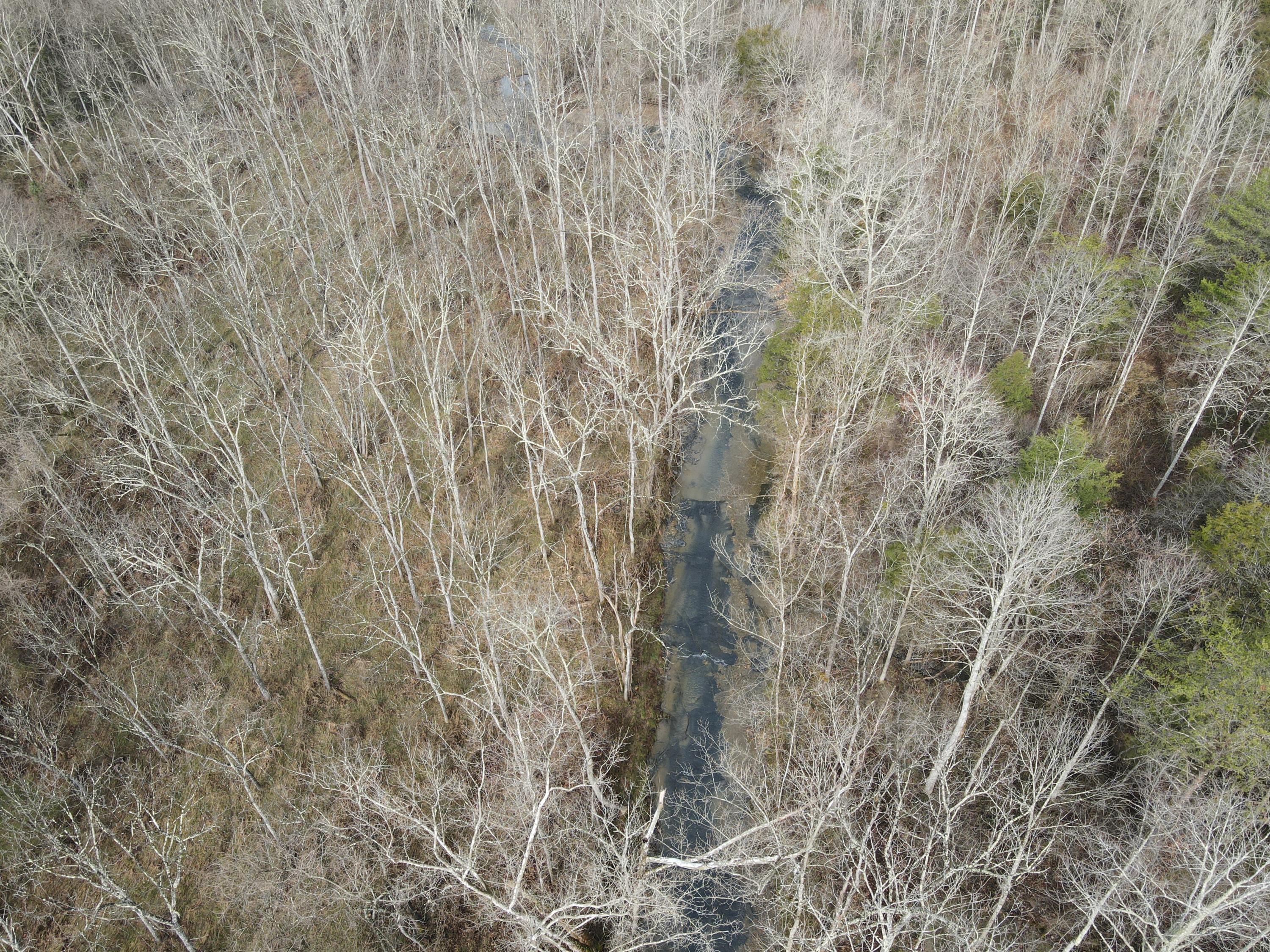 551 Porter Creek Road Nancy, KY 42544 - Photo 23 of 45 DJI_0952