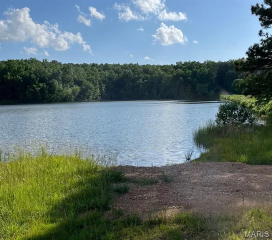 $160,000 | 1 Gobbler Cove, Lowndes, MO 63951