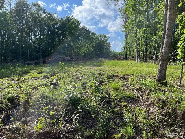 $160,000 | 1 Gobbler Cove, Lowndes, MO 63951