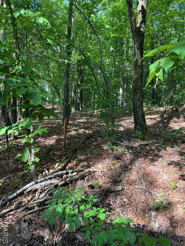 $160,000 | 1 Gobbler Cove, Lowndes, MO 63951