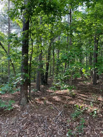 $160,000 | 1 Gobbler Cove, Lowndes, MO 63951