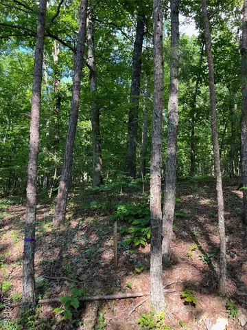 $160,000 | 1 Gobbler Cove, Lowndes, MO 63951