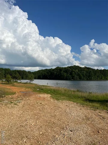 $160,000 | 1 Gobbler Cove, Lowndes, MO 63951