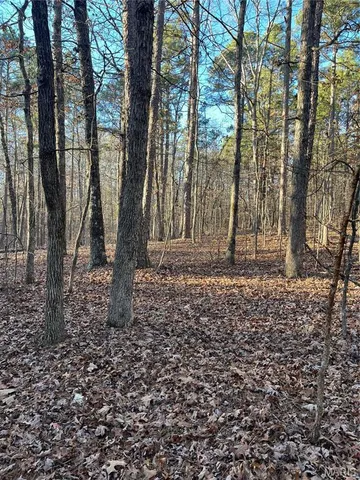 $160,000 | 1 Gobbler Cove, Lowndes, MO 63951