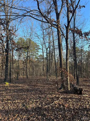 $160,000 | 1 Gobbler Cove, Lowndes, MO 63951