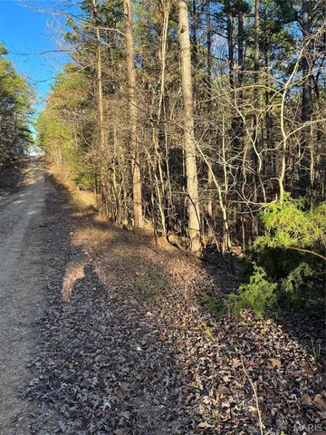 $160,000 | 1 Gobbler Cove, Lowndes, MO 63951