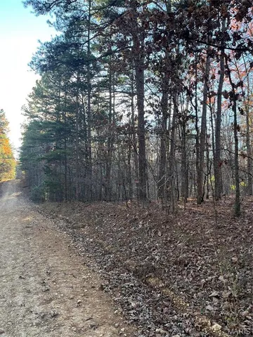 $160,000 | 1 Gobbler Cove, Lowndes, MO 63951