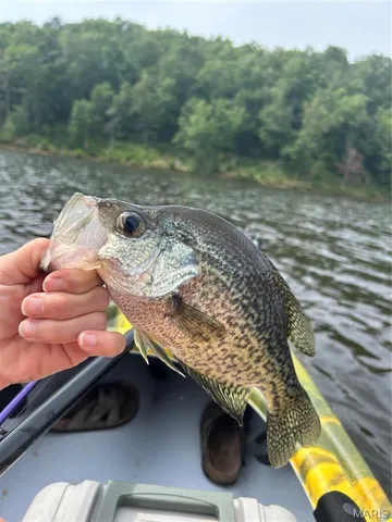 $160,000 | 1 Gobbler Cove, Lowndes, MO 63951