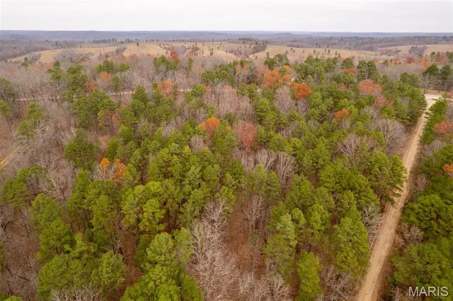 $160,000 | 1 Gobbler Cove, Lowndes, MO 63951