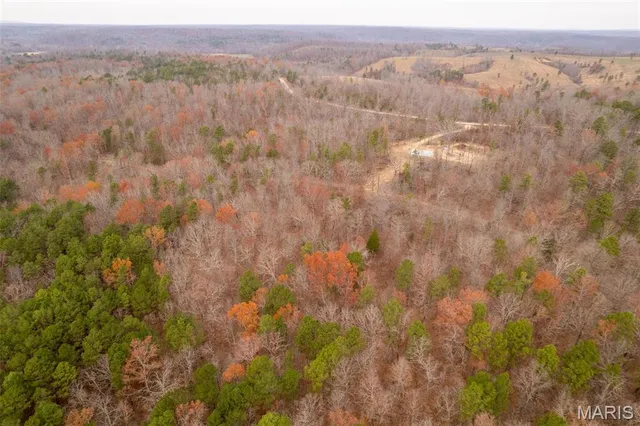 $160,000 | 1 Gobbler Cove, Lowndes, MO 63951