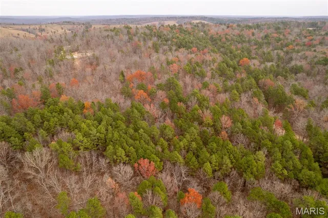 $160,000 | 1 Gobbler Cove, Lowndes, MO 63951