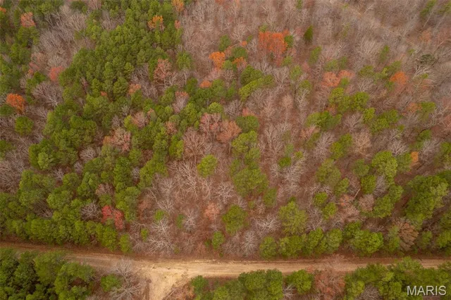 $160,000 | 1 Gobbler Cove, Lowndes, MO 63951