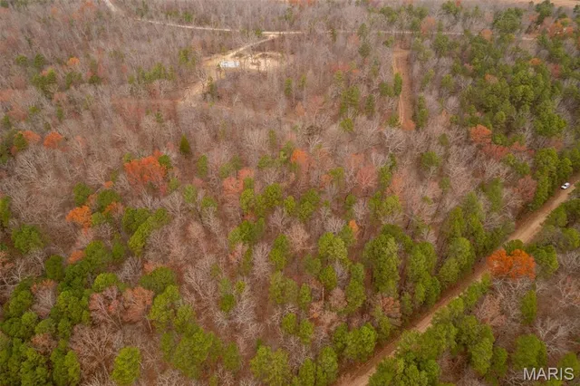 $160,000 | 1 Gobbler Cove, Lowndes, MO 63951