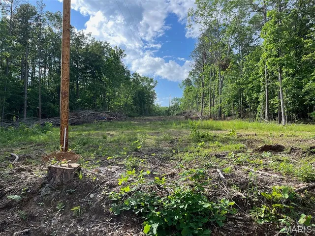 $160,000 | 1 Gobbler Cove, Lowndes, MO 63951