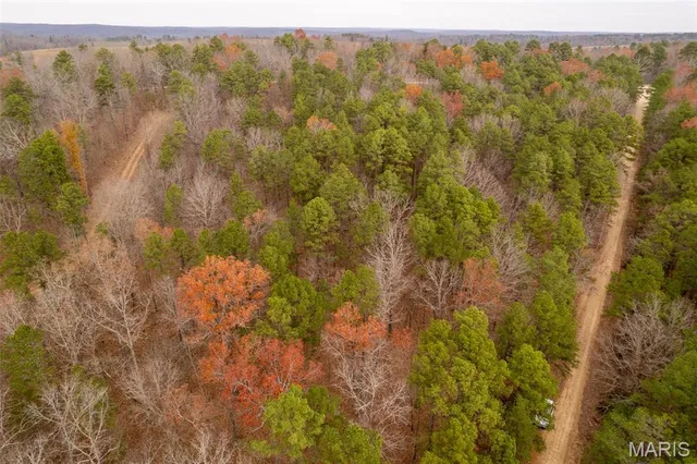 $160,000 | 1 Gobbler Cove, Lowndes, MO 63951