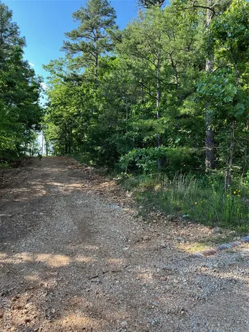 $160,000 | 1 Gobbler Cove, Lowndes, MO 63951