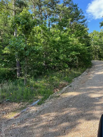 $160,000 | 1 Gobbler Cove, Lowndes, MO 63951