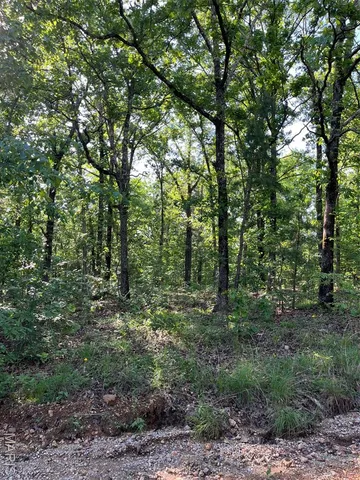 $160,000 | 1 Gobbler Cove, Lowndes, MO 63951