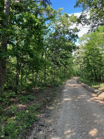 $160,000 | 1 Gobbler Cove, Lowndes, MO 63951