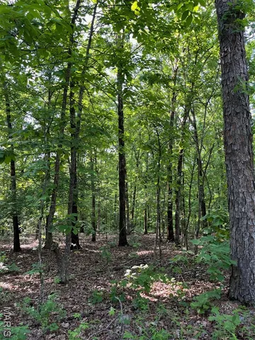 $160,000 | 1 Gobbler Cove, Lowndes, MO 63951