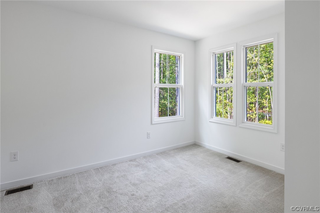 11521 Riverpark Way Chesterfield, VA 23838 - Photo 21 of 31 Gallery Image 21