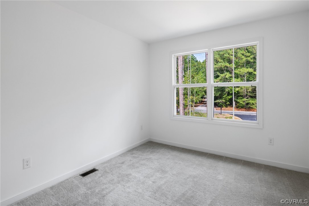 11521 Riverpark Way Chesterfield, VA 23838 - Photo 22 of 31 Gallery Image 22