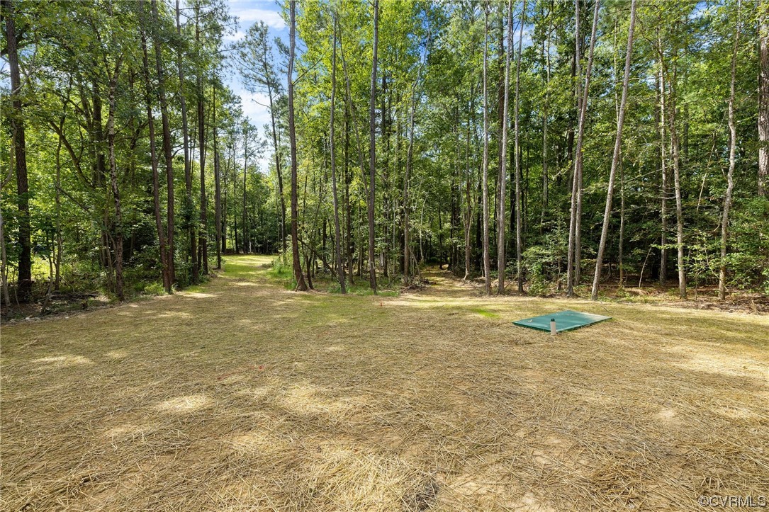 11521 Riverpark Way Chesterfield, VA 23838 - Photo 31 of 31 Gallery Image 31