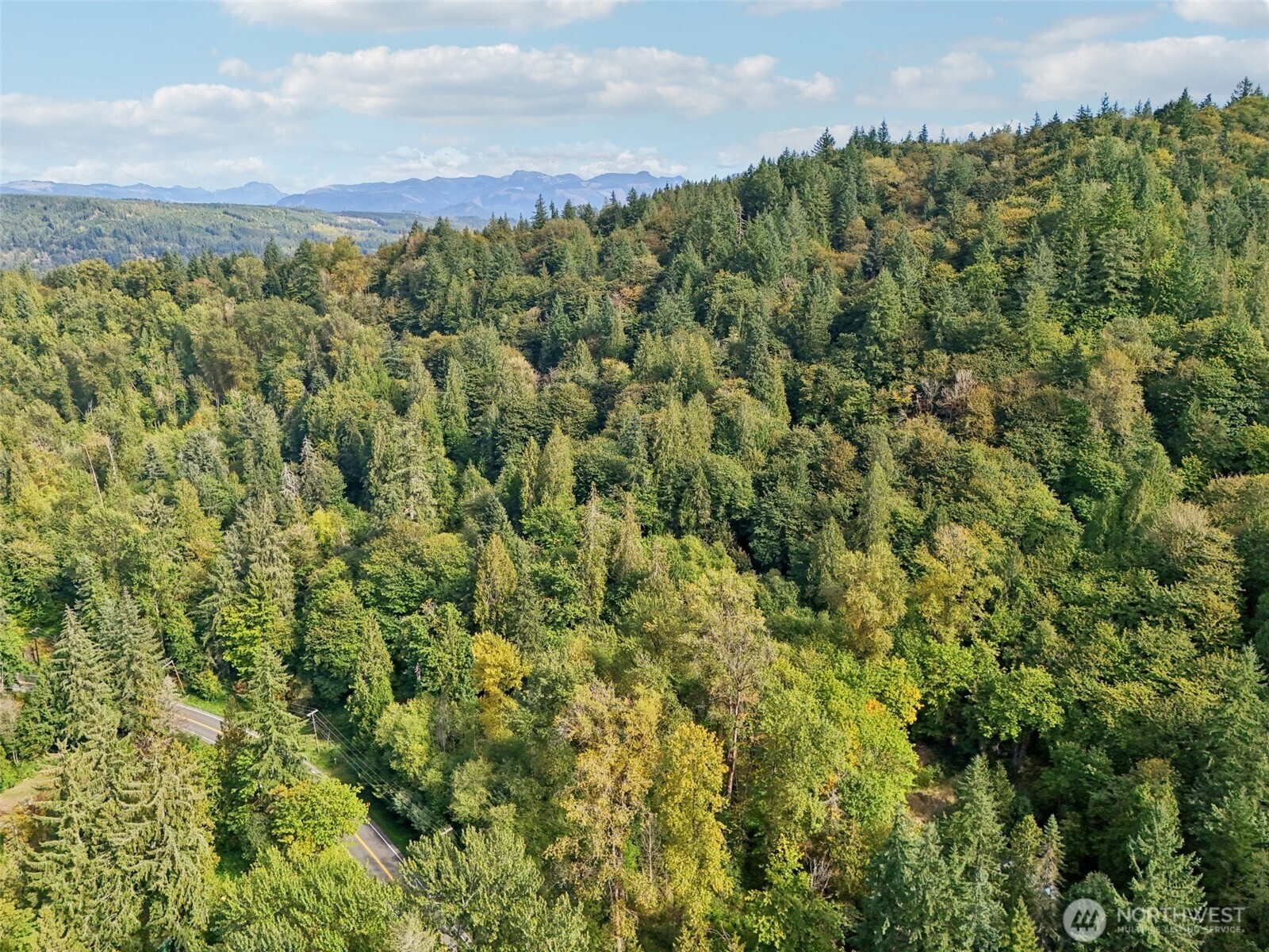 a view of a city and lush green forest