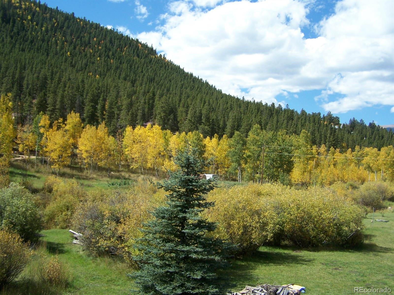 282 Bishop Road Bailey, CO 80421 - Photo 6 of 11 a view of lake with green space