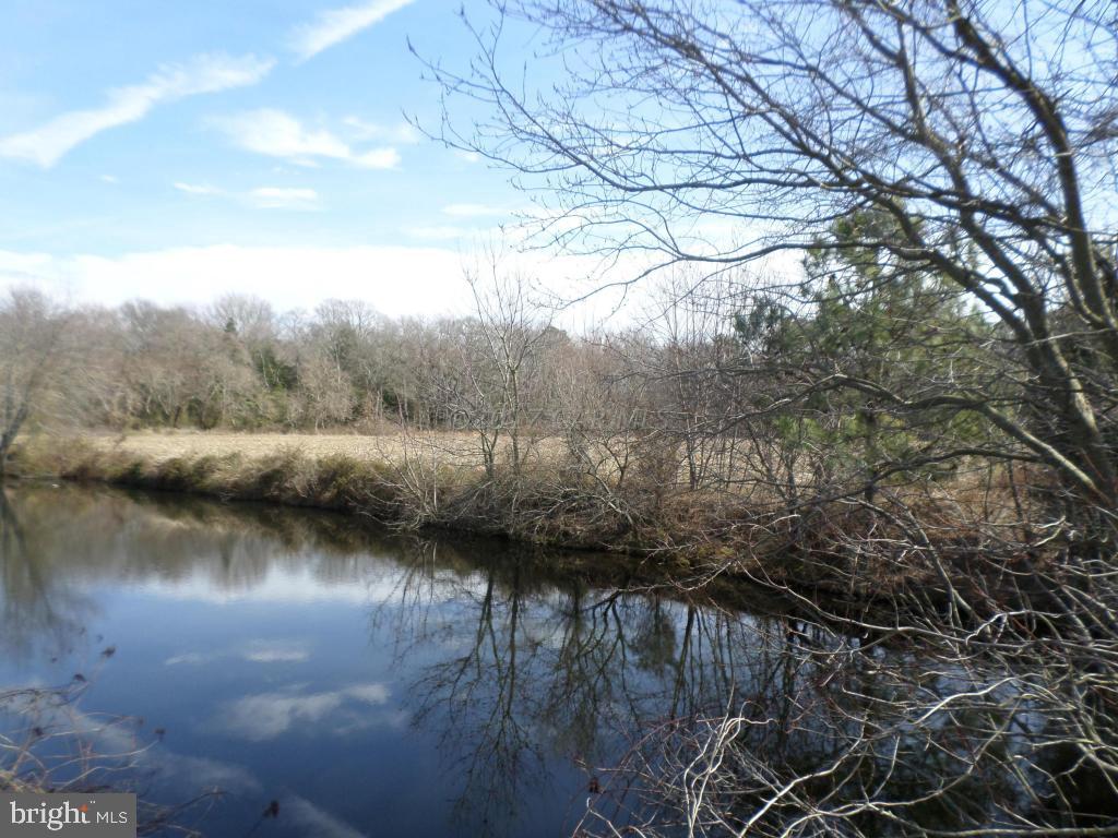 20435 Nanticoke Road Nanticoke, MD 21840 - Photo 26 of 35 Gallery Image 26