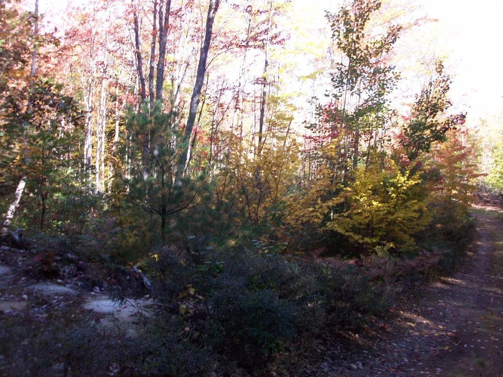 Lot 41 Ruel Lane Biddeford, ME 04005 - Photo 3 of 6 Photo