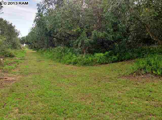 0 North Honokala Road Haiku, HI 96708 - Photo 15 of 21 a view of yard with green space